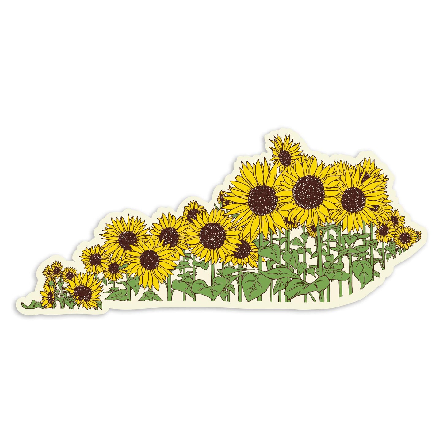 Sunflower Ky Sticker